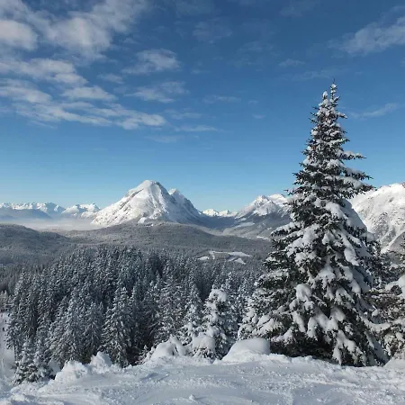 Krinzerhaeusl アパート ゼーフェルト・イン・チロル