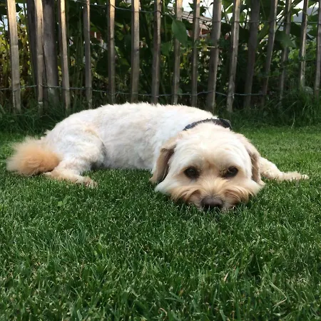 Διαμέρισμα Krinzerhaeusl