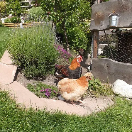 Διαμέρισμα Krinzerhaeusl *