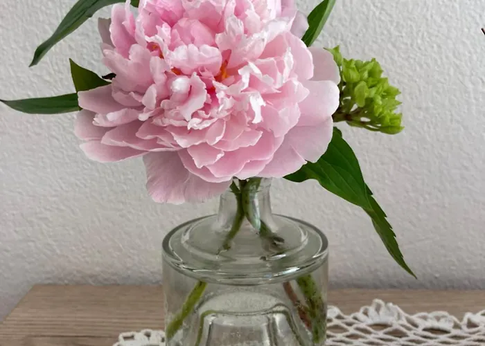 Krinzerhaeusl アパート