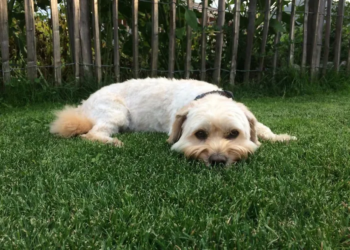 شقة Krinzerhaeusl