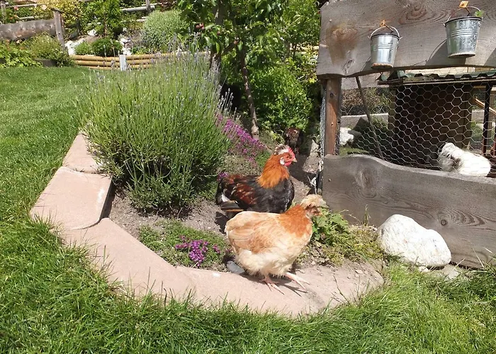 شقة Krinzerhaeusl *