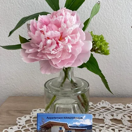 Krinzerhaeusl Apartment