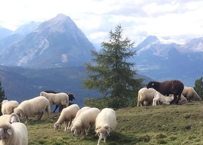 Krinzerhaeusl Apartment